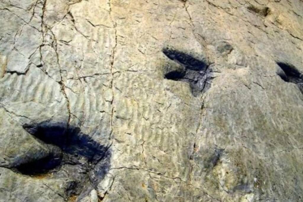 Casa: Mirador Del Valle Perdido. Enciso Dış mekan fotoğraf